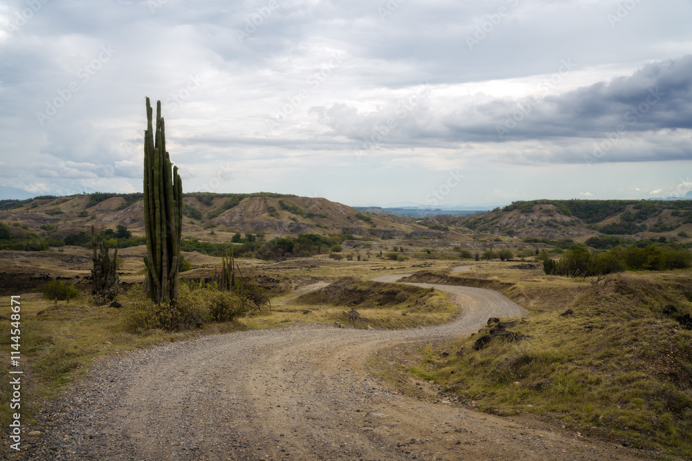 Desert dirt road bend with cactus