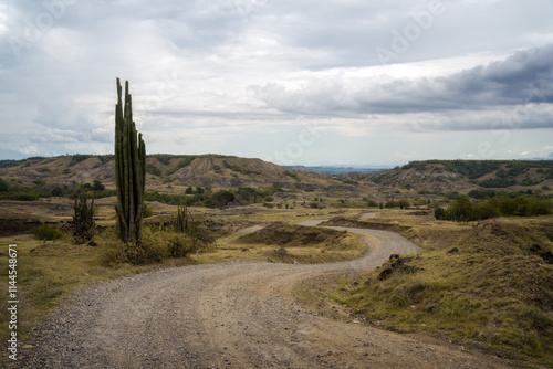 Obraz na płótnie Desert dirt road bend with cactus w salonie