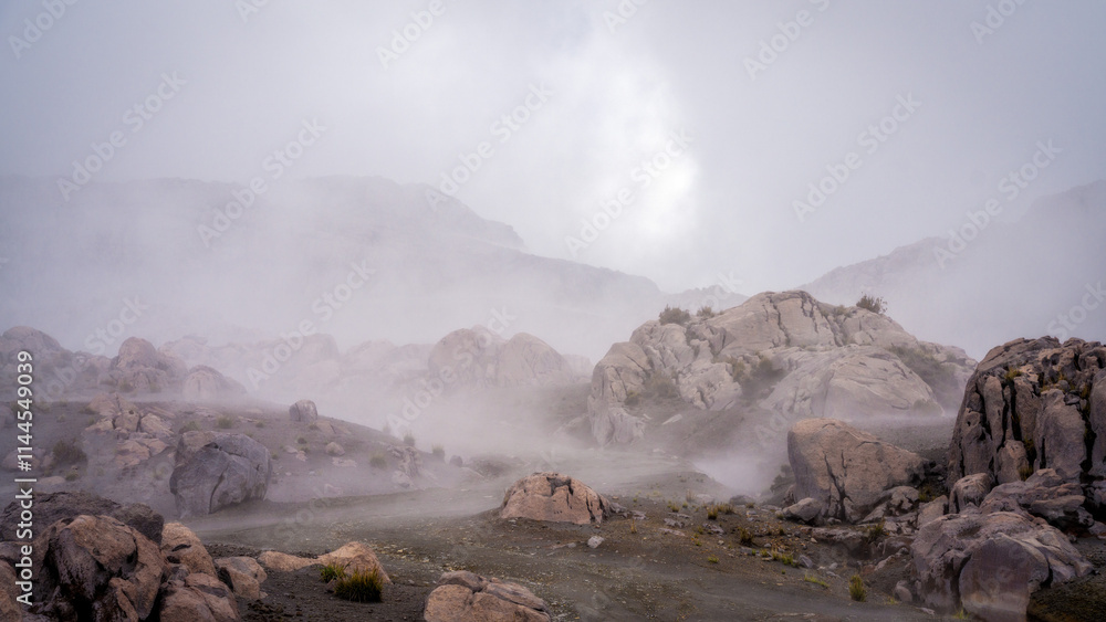 National Park Los Nevados Colombia