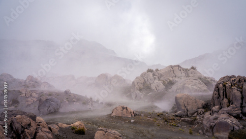 National Park Los Nevados Colombia photo