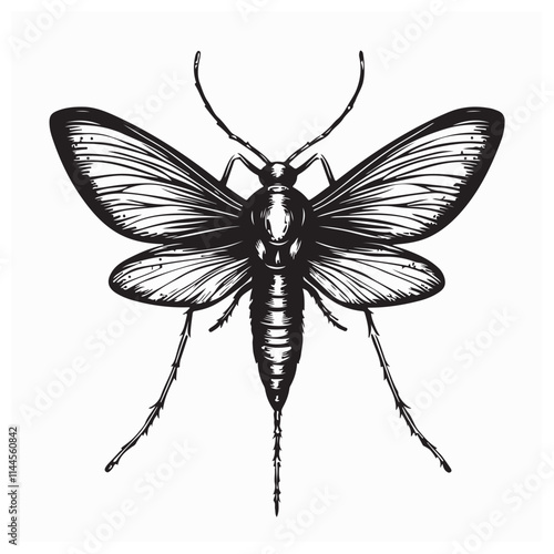 Mosquito Vector Images. Mosquito Vector Art  Illustration isolated on white background.