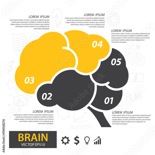 Infographics vector brain design. vector illustration.