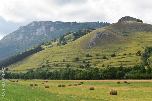 Nature landscape in Romania with hills, haystacks on green field, forest and blue sky, on a beautiful summer day.