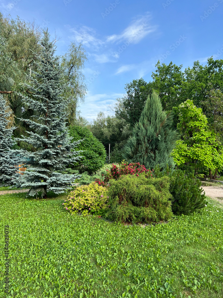 Obraz premium Composition of trees and bushes on the lawn