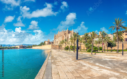 Wallpaper Mural Sea front promenade in the old town of Palma de Mallorca with its iconic cathedral in the background, Balearic Islands, Spain Torontodigital.ca