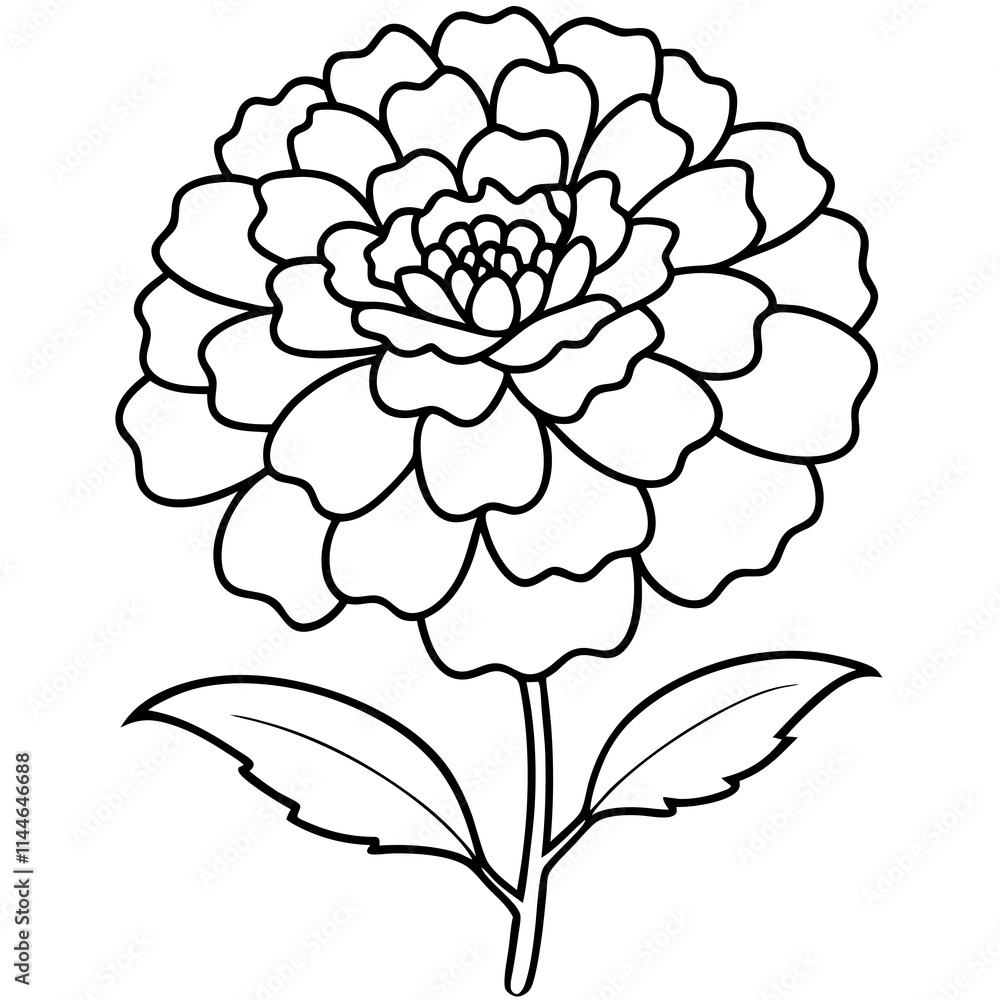 illustration of a flower illustration of a flower