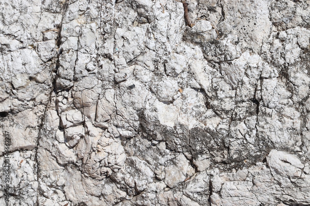 White karst limestone rock texture from Croatia White karst limestone rock texture from Croatia