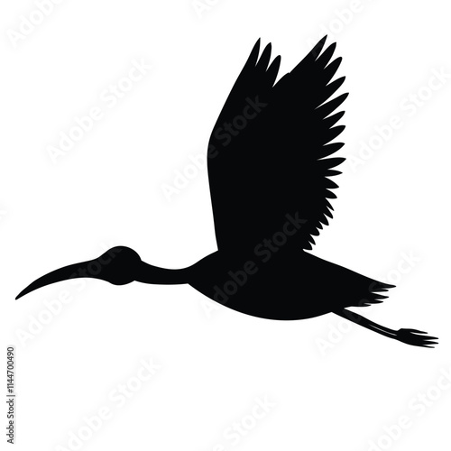 Cute cartoon hand drawn vector American white ibis icon silhouette. photo