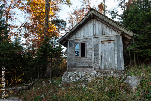 Wooden cabin in the woods