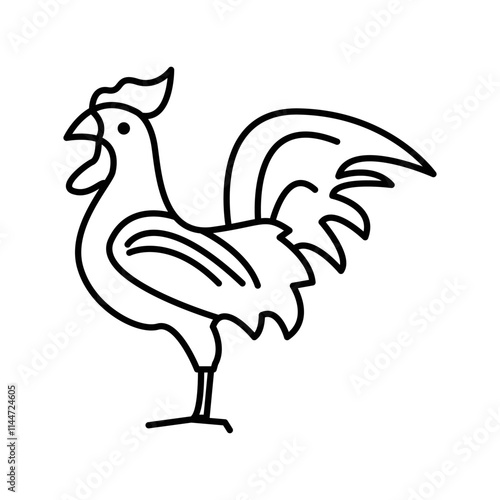 rooster isolated on white background