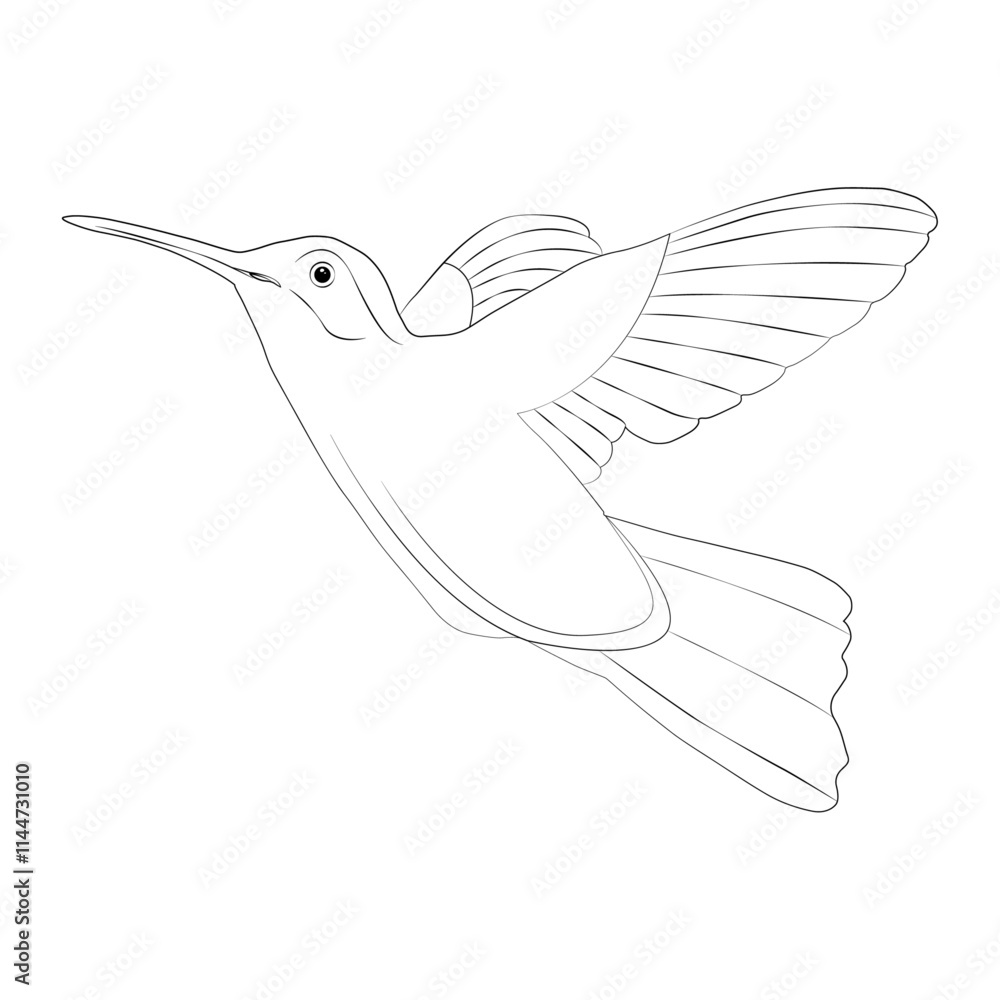 Bird line art vector design. Bird outline illustration design.