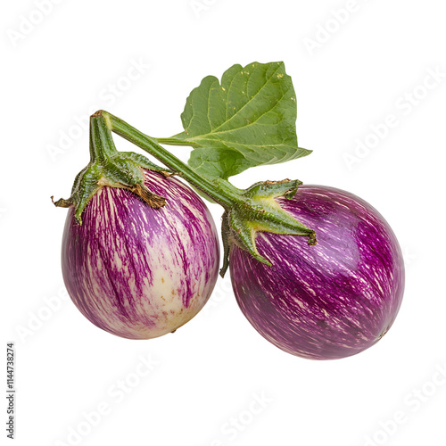 eggplant isolated on white background, full depth of field  photo