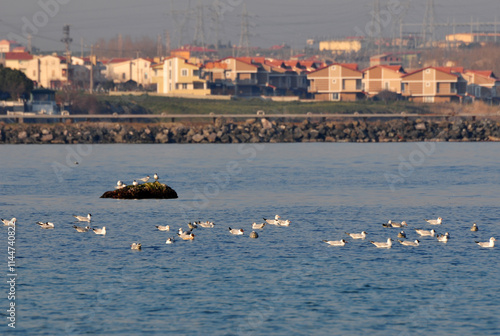 Marmara Ereglisi district in Tekirdag, Turkey, is a tourism city. It attracts attention with its historical artifacts and sea. photo