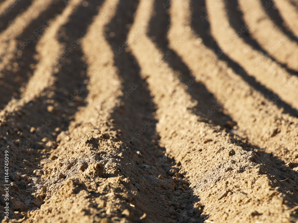 The furrows of the plowed field at the edge of the forest. Free soil for planting crops. Agricultural business. Technology v raschivaniya food. Seasonal field work. Farmland. The quality of the soil The furrows of the plowed field at the edge of the forest. Free soil for planting crops. Agricultural business. Technology v raschivaniya food. Seasonal field work. Farmland. The quality of the soil