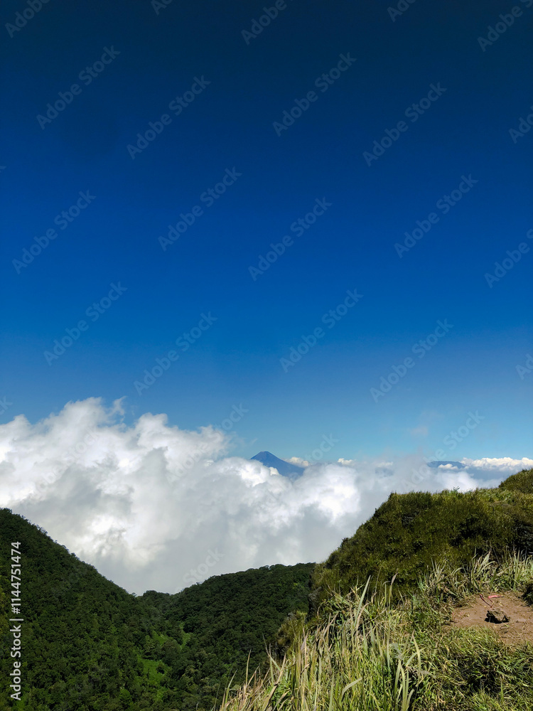 Fototapeta premium Penetrating the Sky, Mountain Peak View with a Sea of ​​Clouds.The bright blue sky blends with a sea of ​​white clouds that surrounds the lush green valley.