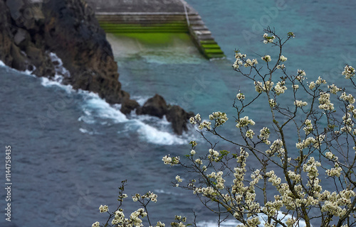 Famous flysch rocks of the Atlantic in Basque country, Spain photo