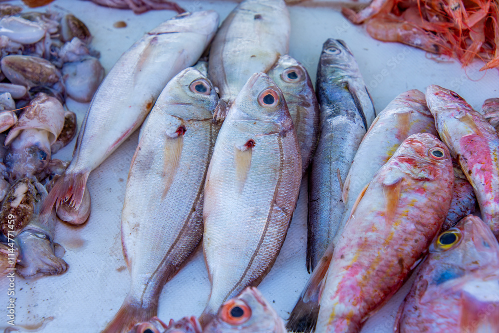 Fresh fish on the fishing port of Essaouira in Morocco Fresh fish on the fishing port of Essaouira in Morocco