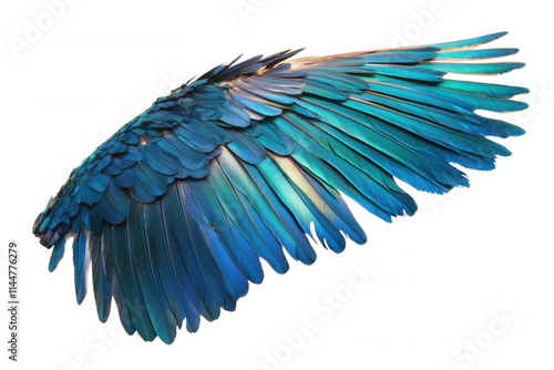 A stunning close-up of vibrant blue and green bird feathers, isolated on transparent or white background