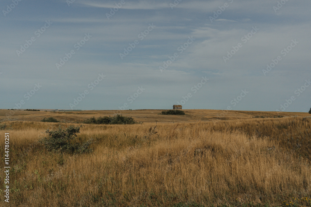 Fototapeta premium Lonely abandoned barn in Saskatchewan field