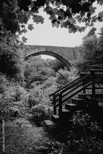 Durham England: 6th Sept 2024: The Causey Arch. A large stone arch bridge stands over a dense thicket of trees and bushes. A wooden staircase leads upward photo