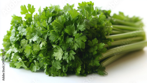 Fresh green cilantro bunch with vibrant leaves, perfect for culinary use and garnishing dishes. This herb adds flavor and freshness to various recipes