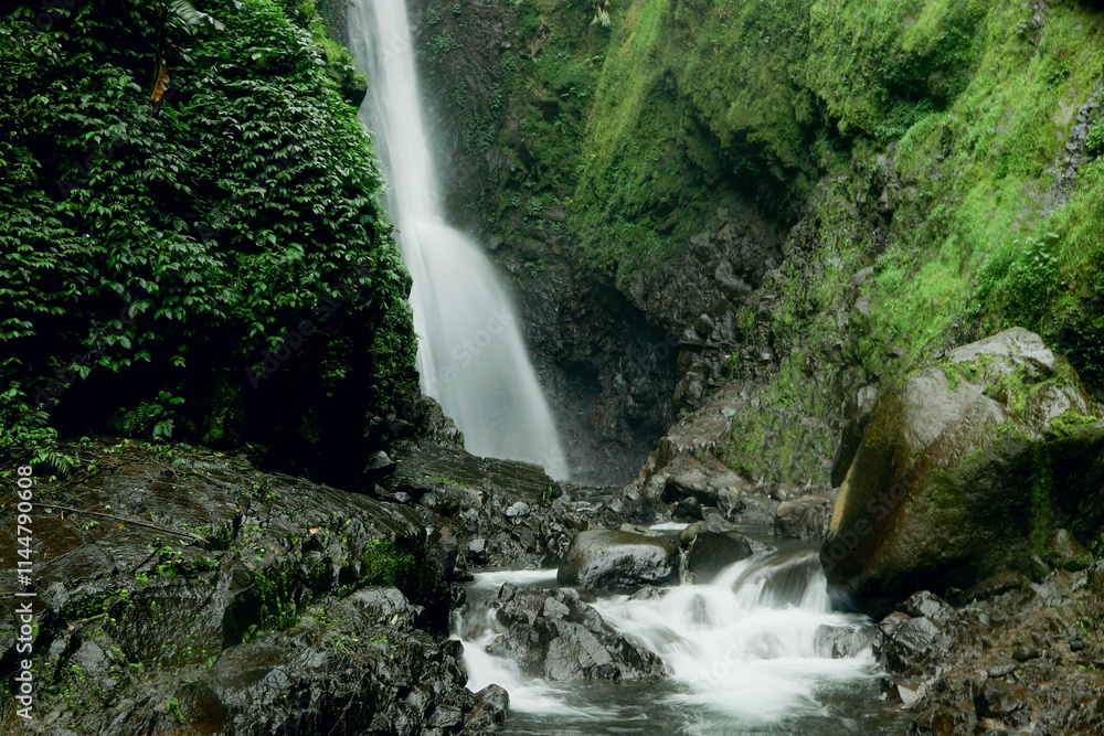 A powerful waterfall cascades down a moss-covered cliff, crashing into a rocky stream below. Lush greenery surrounds the scene, creating a breathtaking natural spectacle. A powerful waterfall cascades down a moss-covered cliff, crashing into a rocky stream below. Lush greenery surrounds the scene, creating a breathtaking natural spectacle.