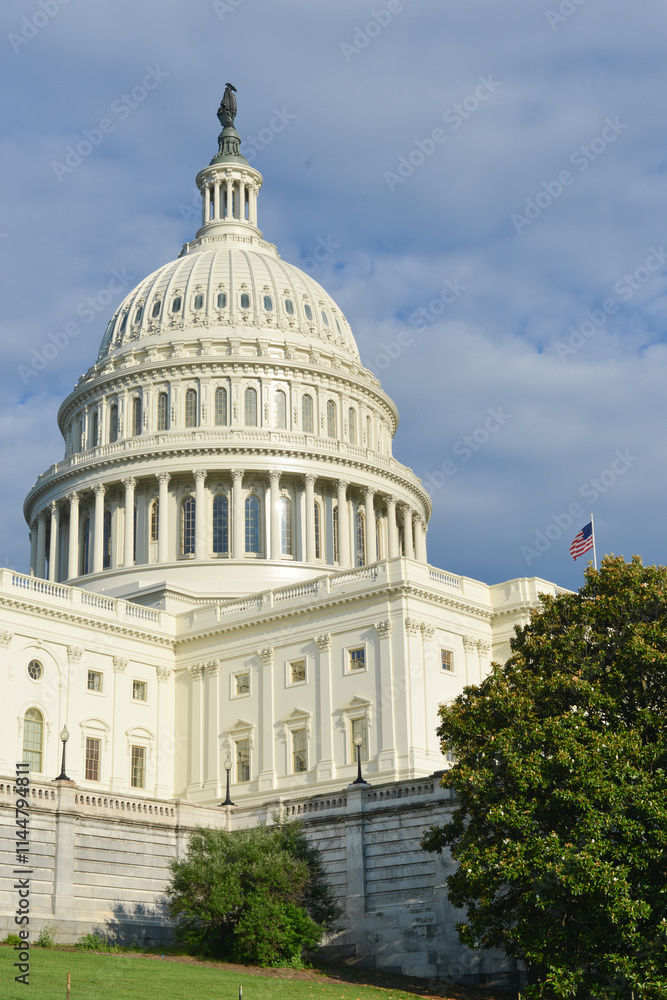 Obraz premium US Capitol Building - Washington DC United States