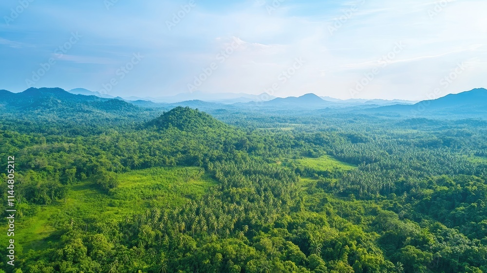 Fototapeta premium Aerial view of a vibrant green forest ecosystem, highlighting lush greenery beneath a clear blue sky, perfect for capturing the beauty of nature with ample copy space.