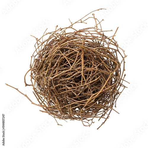 Dry tumbleweed bush twigs weed ball isolated on transparent background
