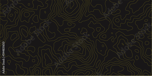 topographic,contour,background,contour,lines,abstract,wave,paper,curved,reliefs,topographic,outline,horizontal,topo,contour,map,gray,outline,topographic,contour,map,abstract,tech,motion