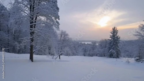 Wallpaper Mural Beautiful Winter Scene Snowy Trees and Pristine Landscape Torontodigital.ca