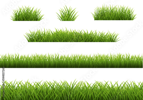 Green Grass Border And White Background