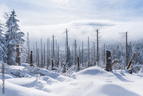 Winterwonderland Harz. Wanderung durch eine traumhaft verschneite Winterlandschaft hinauf auf Mitteldeutschlands höchsten Gipfel. photo