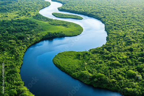 Aerial View of Amazon Forest