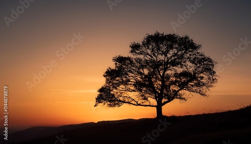 Silhouette of a tree against a sunset sky.