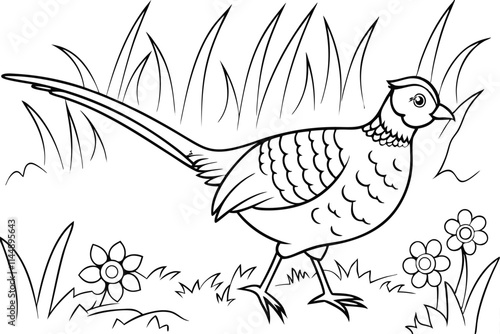 Ringnecked Pheasant Coloring Page Bird, Feathers, Grass, Flowers, Nature