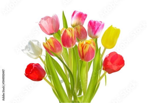Bouquet of colorful tulips isolated on transparent background