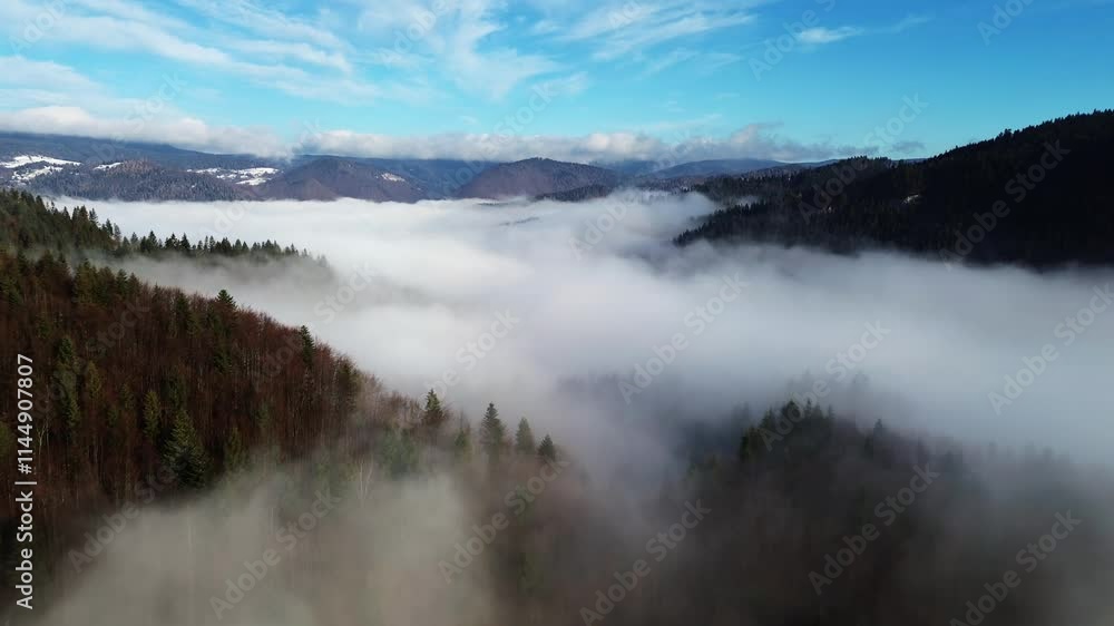 Aerial view of a misty forest with dense trees covered in fog, serene and mysterious landscape. Aerial view of a misty forest with dense trees covered in fog, serene and mysterious landscape.