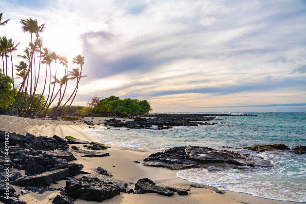Sandy beach and palm trees on the shores of Big Island at Waialea Bay