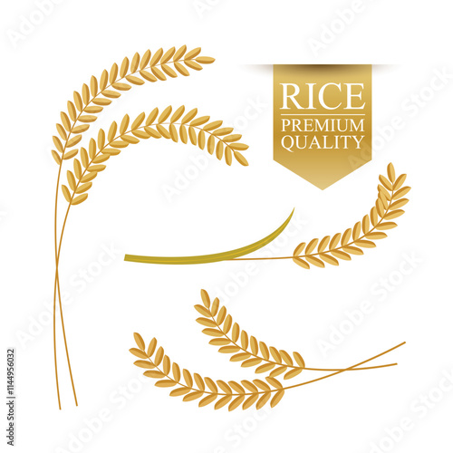 Rice on white background. vector illustration.