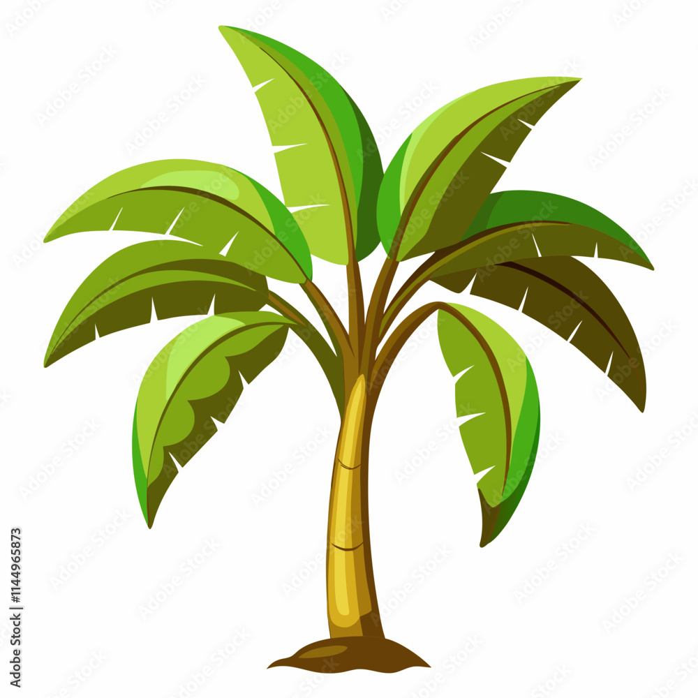 tree isolated on white background tree isolated on white background