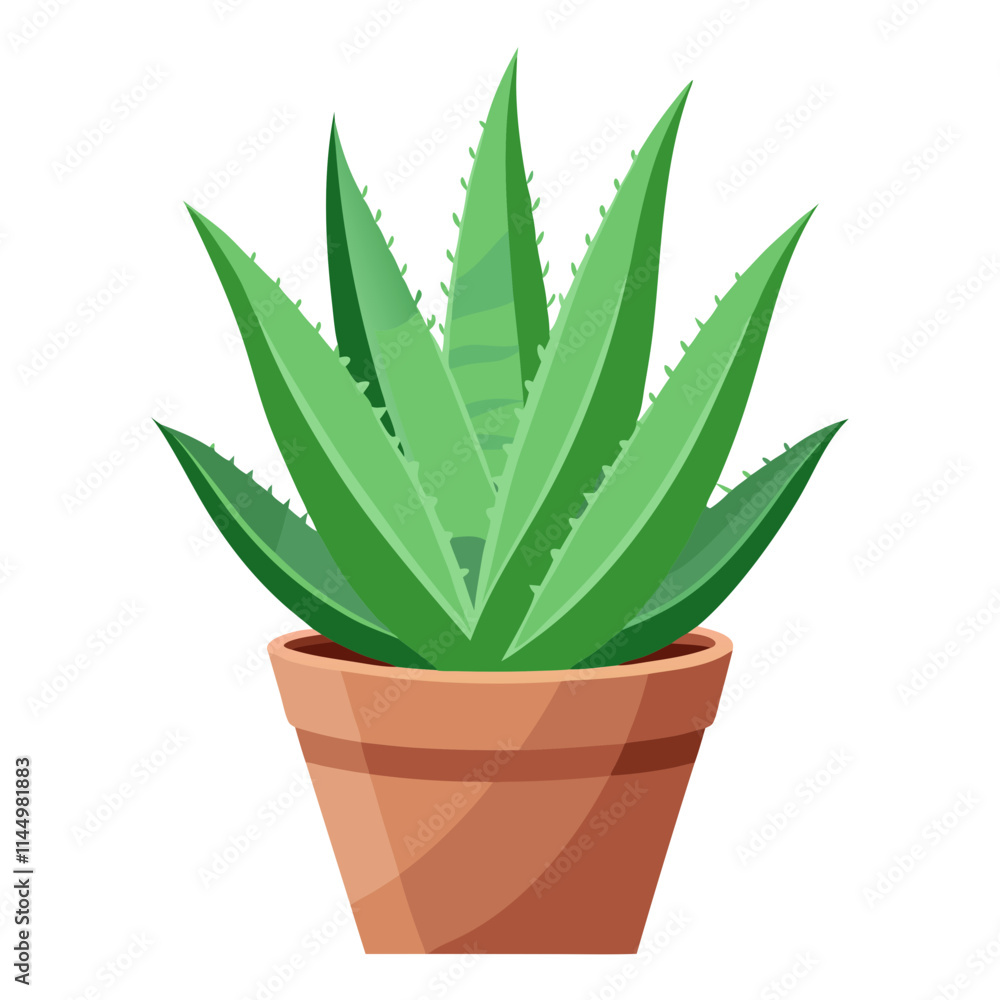 Vibrant aloe vera plant in clay pot against a clean white backdrop showcasing its rich green leaves and natural beauty Vibrant aloe vera plant in clay pot against a clean white backdrop showcasing its rich green leaves and natural beauty