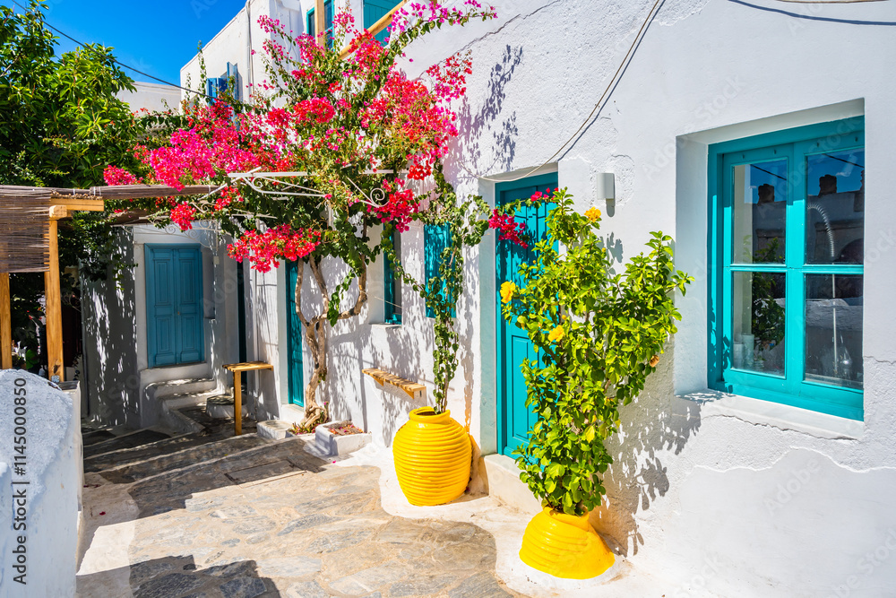Narrow alley with flowers in pots and facades of whitewashed houses in Chora village, Amorgos island, Cyclades, Greece