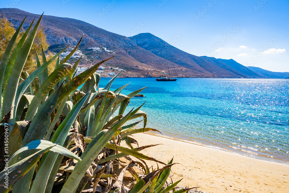 Beautiful sandy beach and agave plants in Aigiali (Ormos Egialis) bay, Amorgos island, Cyclades, Greece