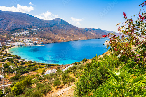 Obraz na płótnie Tropical plants in Aigiali sea bay with mountains in distance, Amorgos island, Cyclades, Greece w salonie