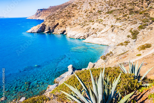 Obraz na płótnie View of Mouros bay and beach with agave plant in foreground, Amorgos island, Cyclades, Greece w salonie