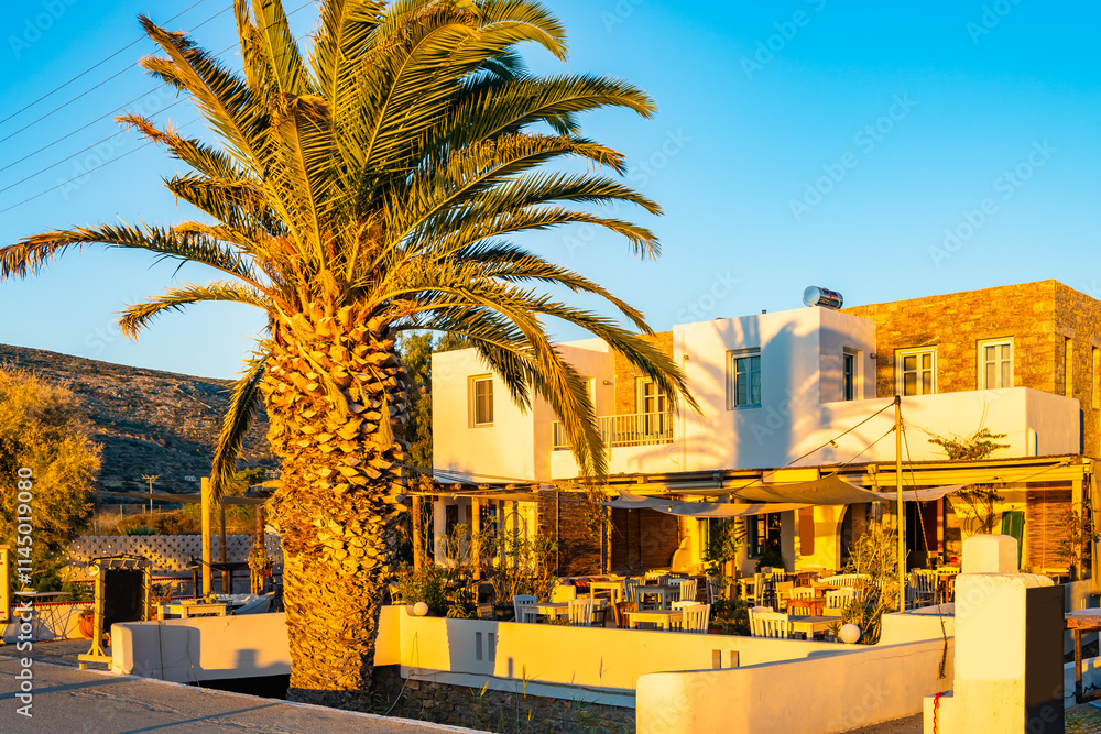 Restaurant building with palm tree in sunset light in Katapola port, Amorgos island, Cyclades, Greece