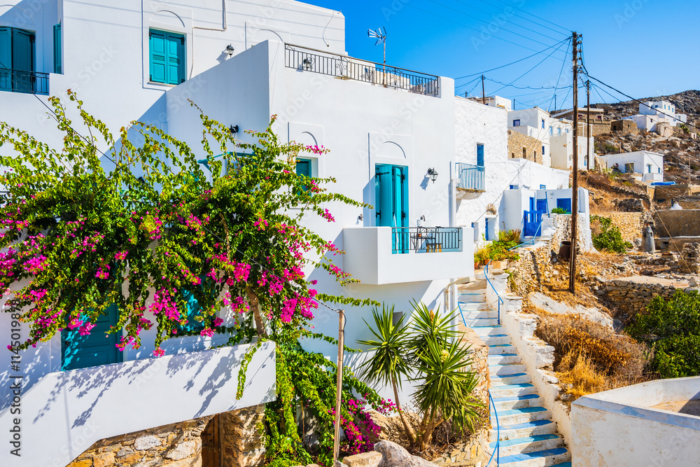 Typical traditional white houses in Tholaria village decorated with bougainvillea flowers, Amorgos island, Cyclades, Greece