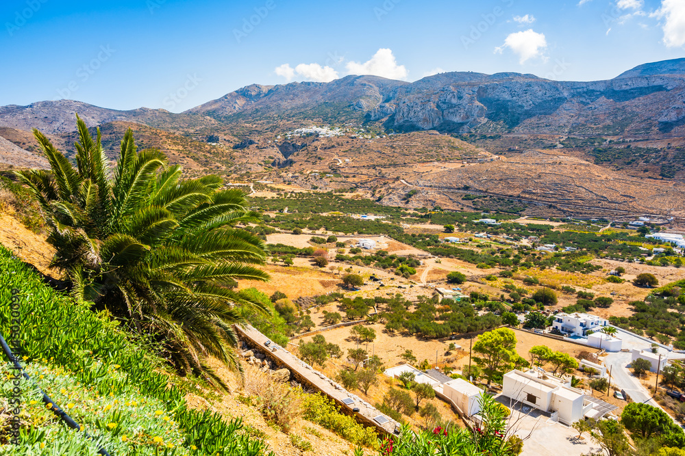 Palm tree and tropical plants in Aigiali sea bay with mountains in distance, Amorgos island, Cyclades, Greece