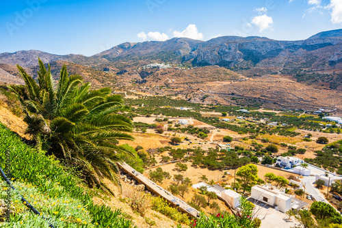 Obraz na płótnie Palm tree and tropical plants in Aigiali sea bay with mountains in distance, Amorgos island, Cyclades, Greece w salonie